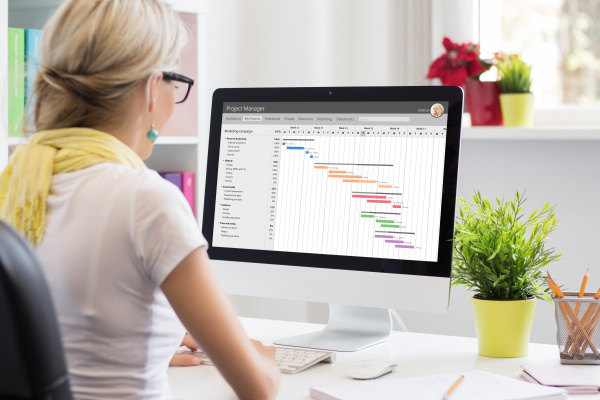 Project management